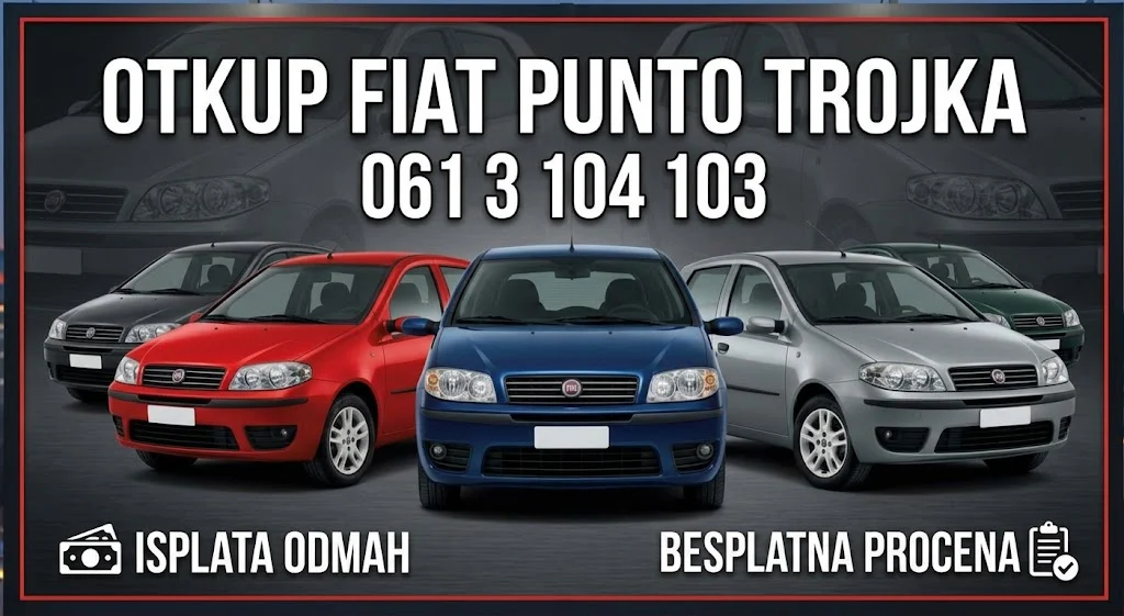 otkupfiatpuntimiki.com